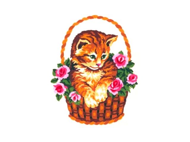 EMBROIDERY CLOTHS             EMBROIDERY KIT